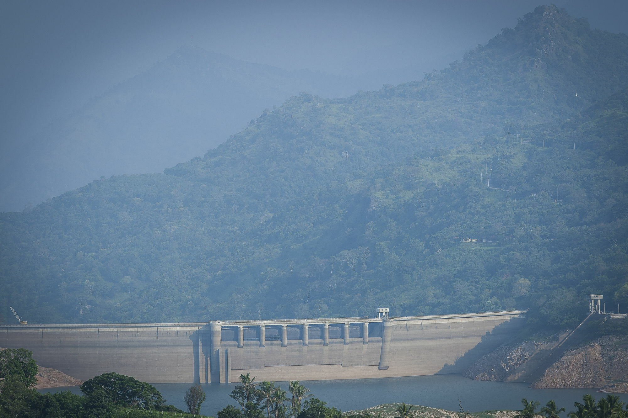 The Albatross, Kandy *