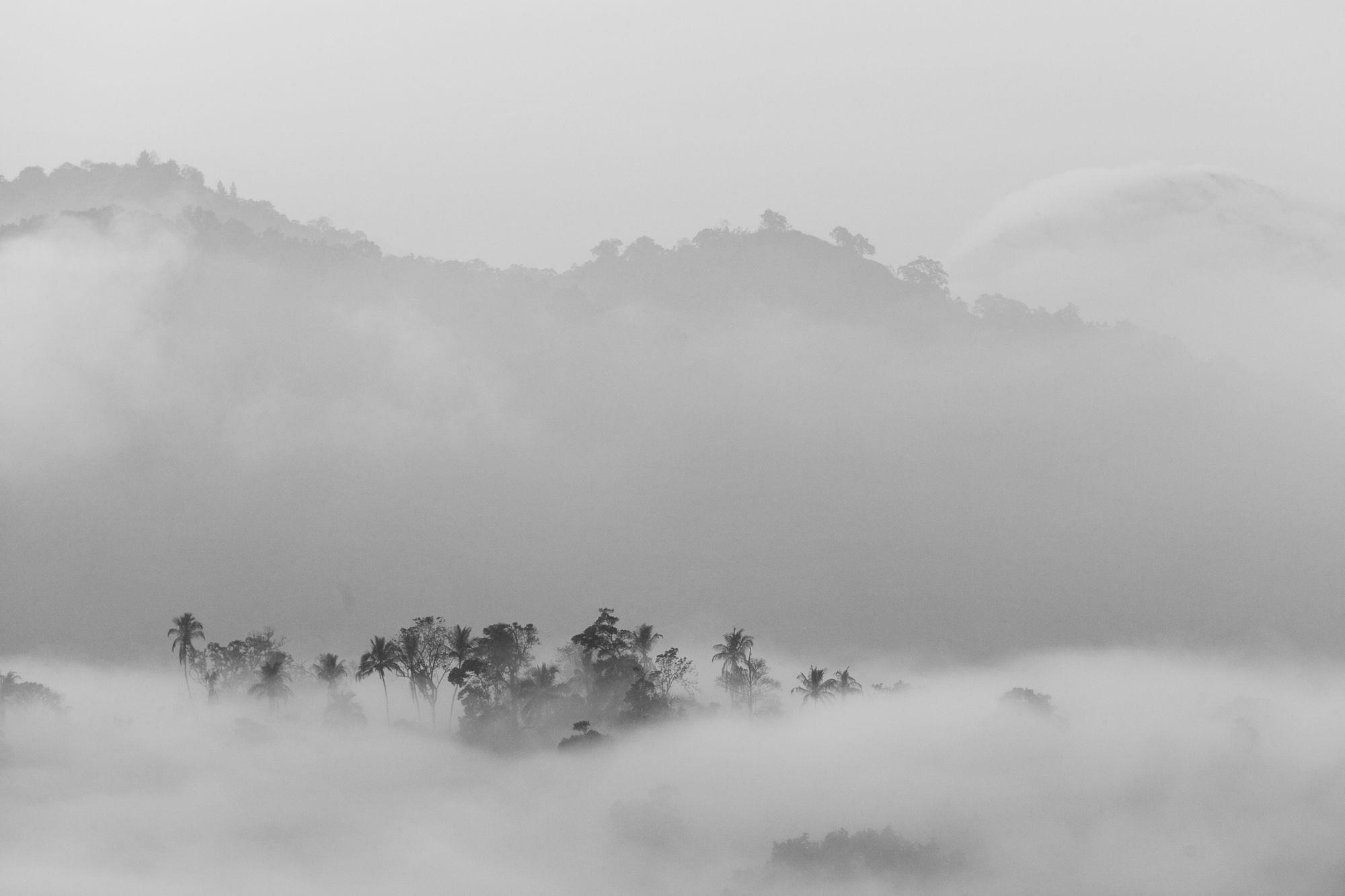 The Albatross, Kandy *