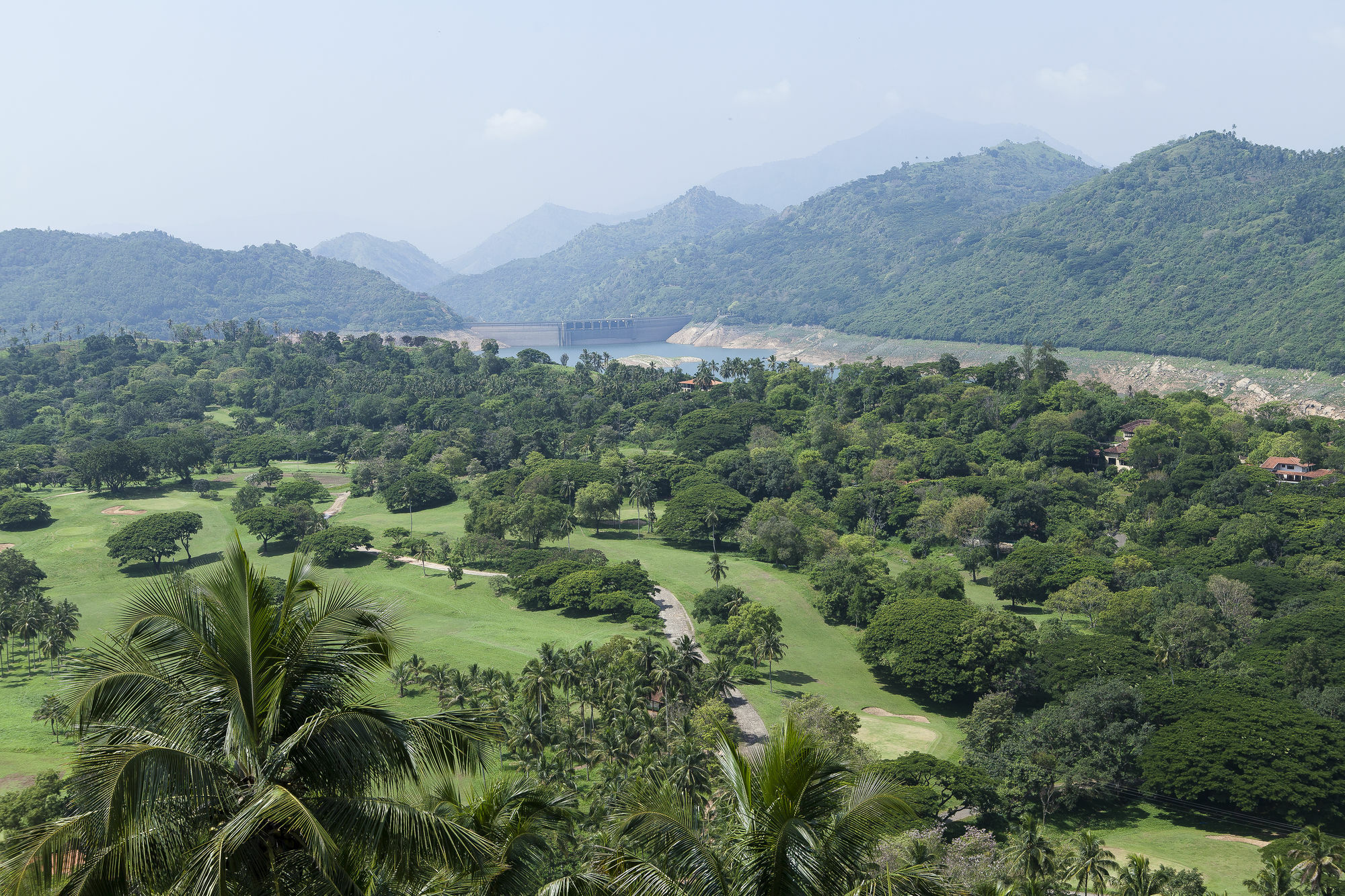 The Albatross, Kandy